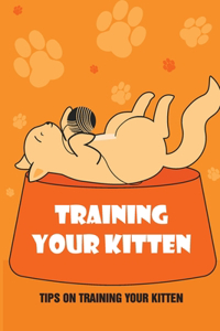 Training Your Kitten
