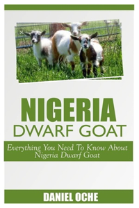 Nigeria Dwarf Goat
