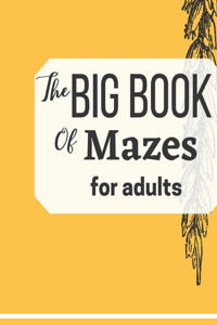 The Big Book Of Mazes for adults