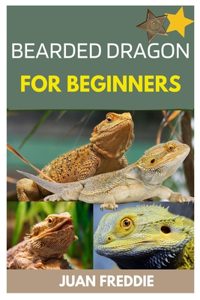 Bearded Dragons for Beginners