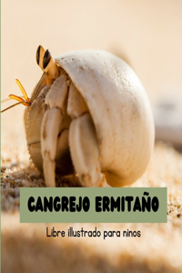 Cangrejo Ermitaño