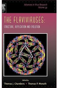 Flaviviruses: Structure, Replication and Evolution