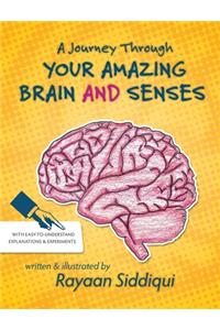 Journey Through Your Amazing Brain and Senses