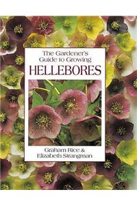 Gardener's Guide to Growing Hellebores