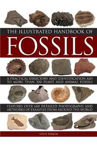 Illustrated Handbook of Fossils