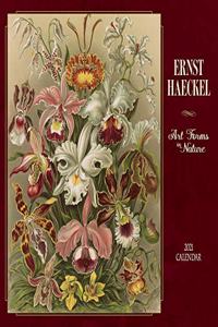 Ernst Haeckel Art Forms in Nature 2021 Wall Calendar