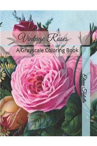 Vintage Roses