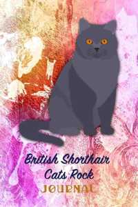 British Shorthair Cats Rock