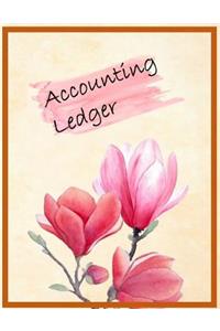 Accounting Ledger