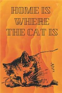 Home is where the Cat is