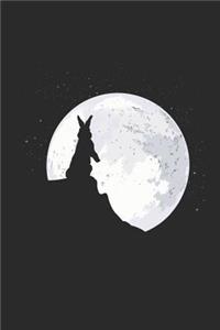 Rabbit Moon