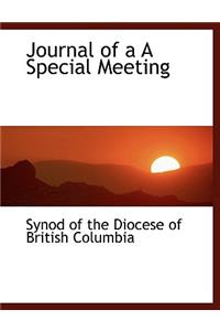 Journal of A A Special Meeting