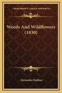 Weeds and Wildflowers (1830)