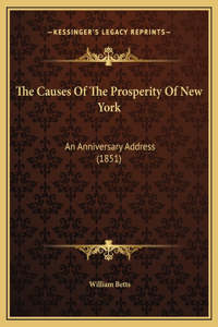 The Causes Of The Prosperity Of New York