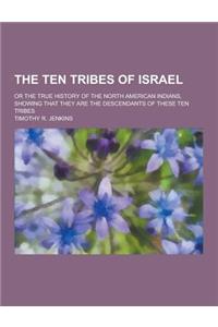 The Ten Tribes of Israel; Or the True History of the North American Indians, Showing That They Are the Descendants of These Ten Tribes