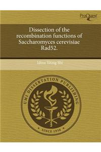 Dissection of the Recombination Functions of Saccharomyces Cerevisiae Rad52.