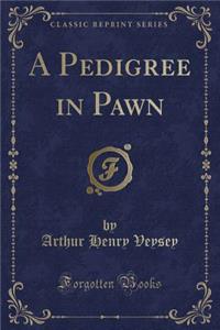 A Pedigree in Pawn (Classic Reprint)