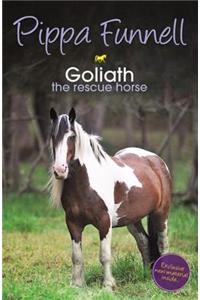 Tilly's Pony Tails: Goliath the Rescue Horse