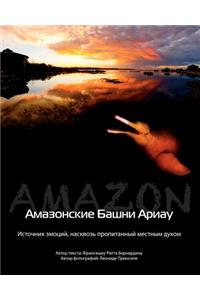 Ariau Amazon Towers (Russian): Evocative Emotions Committed to Regional Sentiment