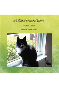 A Cat Named Romeo