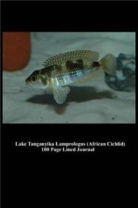 Lake Tanganyika Lamprologus (African Cichlid) 100 Page Lined Journal