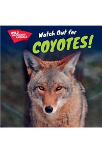 Watch Out for Coyotes!