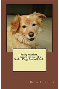 Saving Meatloaf... Through the Eyes of a Shelter Puppy Named Charlie