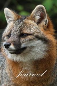 120 Page Fox Journal: Foxes of Wolf Park (Hunter)