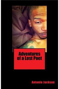 Adventures of a Lost Poet