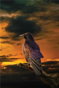 The Raven at Dawn Journal