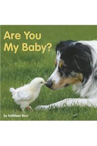 Are You My Baby?