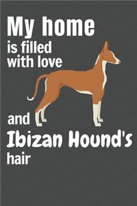 My home is filled with love and Ibizan Hound's hair