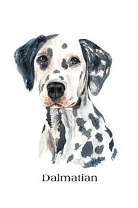 Dalmatian