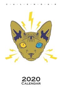Sphynx cat Calendar 2020