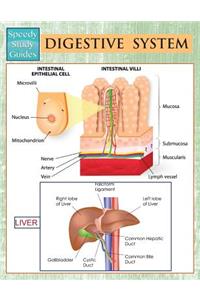 Digestive System (Speedy Study Guides)