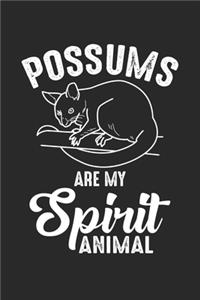 Possums are my Spirit Animal