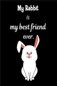 My rabbit is my best friend ever.