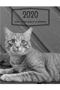 2020 One Year Daily Planner