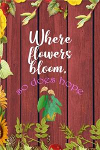 Where Flowers Bloom, So Does Hope