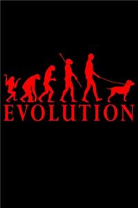 Labrador Evolution