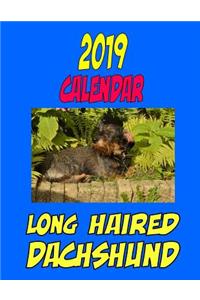 2019 Calendar Long Haired Dachshund