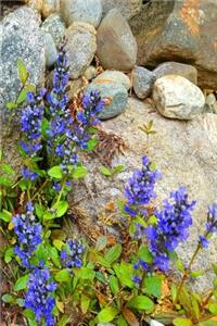 2019 Daily Planner Purple Flowers Against Rocks 384 Pages