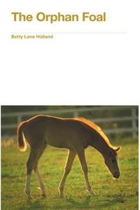 Orphan Foal