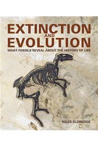 Extinction and Evolution