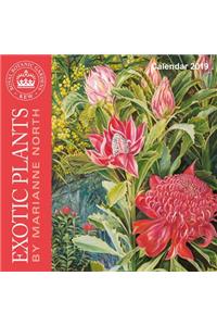 Kew Gardens - Exotic Plants by Marianne North - Mini Wall Calendar 2019