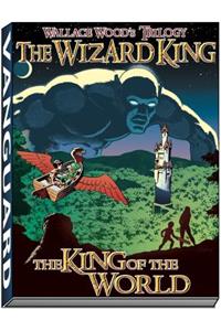 Wizard King Trilogy (book1