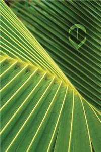 Palm Leaf Journal