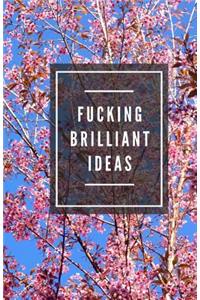 Fucking Brilliant Ideas (Notebook)