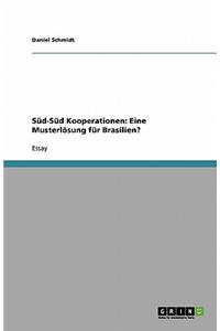 Süd-Süd Kooperationen