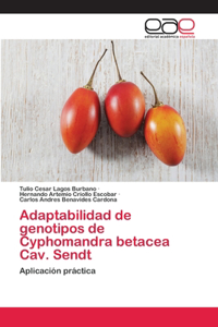 Adaptabilidad de genotipos de Cyphomandra betacea Cav. Sendt